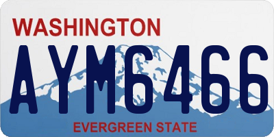 WA license plate AYM6466