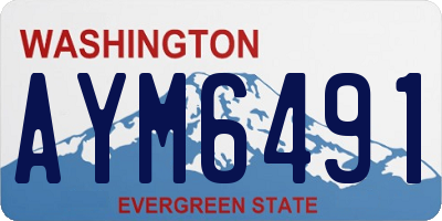 WA license plate AYM6491