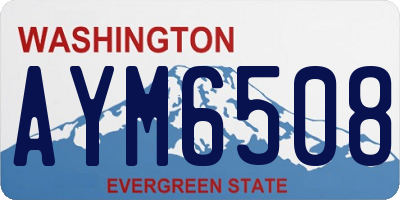 WA license plate AYM6508