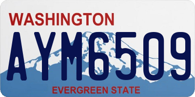 WA license plate AYM6509
