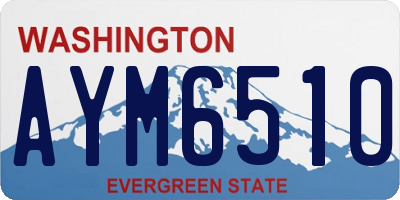 WA license plate AYM6510