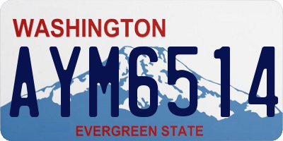 WA license plate AYM6514