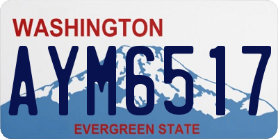 WA license plate AYM6517