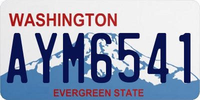 WA license plate AYM6541