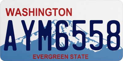 WA license plate AYM6558