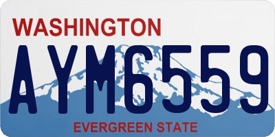 WA license plate AYM6559