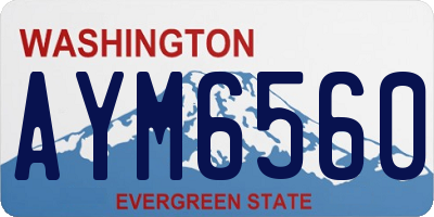 WA license plate AYM6560