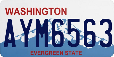 WA license plate AYM6563