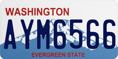 WA license plate AYM6566