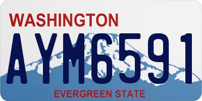 WA license plate AYM6591