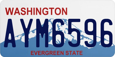 WA license plate AYM6596