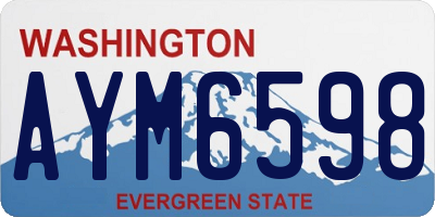 WA license plate AYM6598