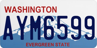 WA license plate AYM6599