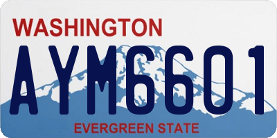 WA license plate AYM6601