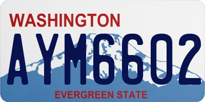 WA license plate AYM6602