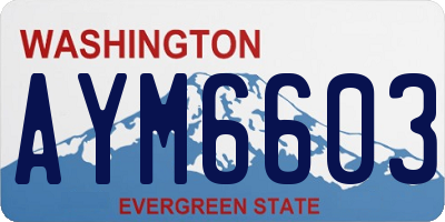 WA license plate AYM6603