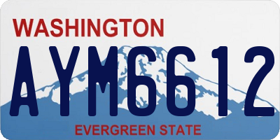 WA license plate AYM6612