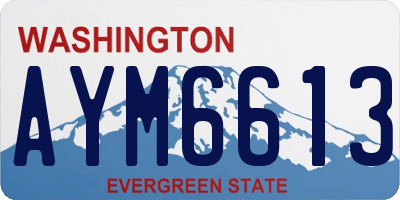 WA license plate AYM6613