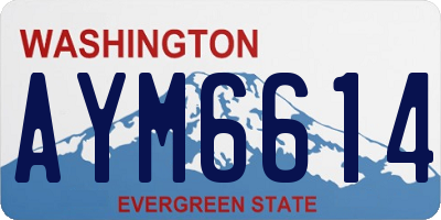 WA license plate AYM6614