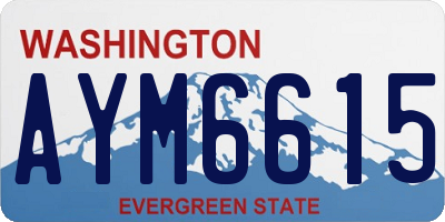 WA license plate AYM6615