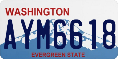 WA license plate AYM6618