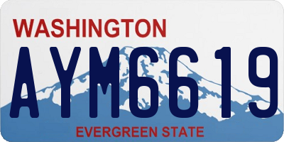 WA license plate AYM6619