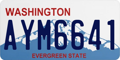 WA license plate AYM6641
