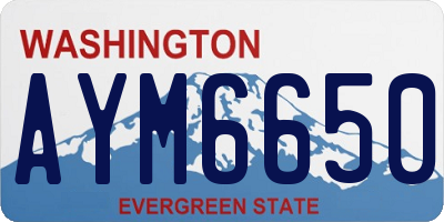 WA license plate AYM6650