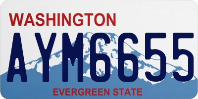 WA license plate AYM6655