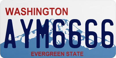 WA license plate AYM6666