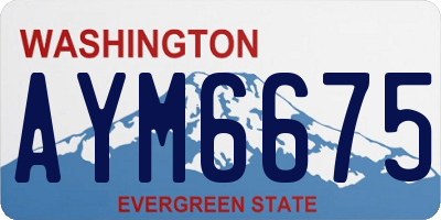 WA license plate AYM6675