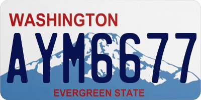 WA license plate AYM6677
