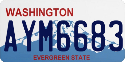 WA license plate AYM6683