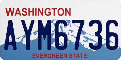 WA license plate AYM6736