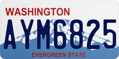 WA license plate AYM6825