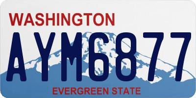 WA license plate AYM6877