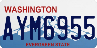 WA license plate AYM6955