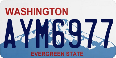 WA license plate AYM6977