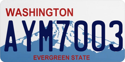 WA license plate AYM7003
