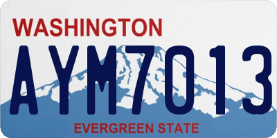 WA license plate AYM7013