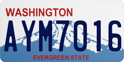 WA license plate AYM7016