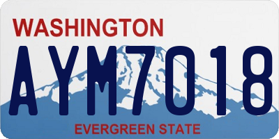 WA license plate AYM7018
