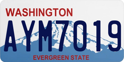 WA license plate AYM7019