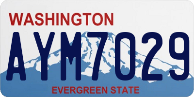 WA license plate AYM7029