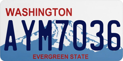 WA license plate AYM7036