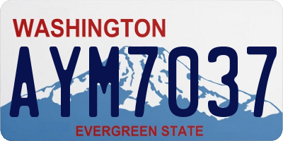 WA license plate AYM7037