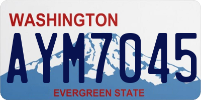 WA license plate AYM7045