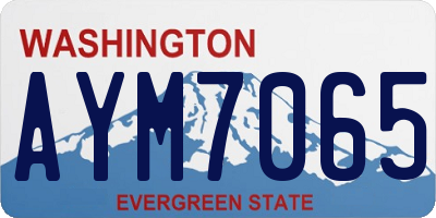 WA license plate AYM7065