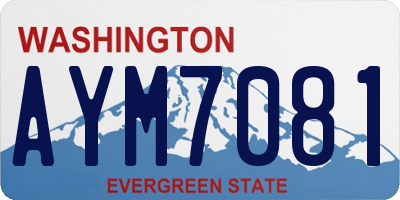WA license plate AYM7081