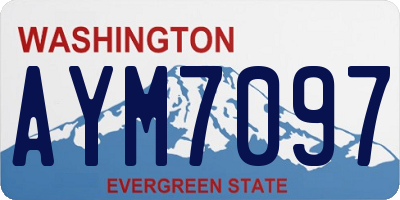 WA license plate AYM7097